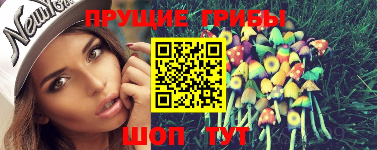 Галлюциногенные грибы Magic Shrooms  Псилоцибиновые грибы GOLDEN TEACHER  Ртищево  Вход с VPN 