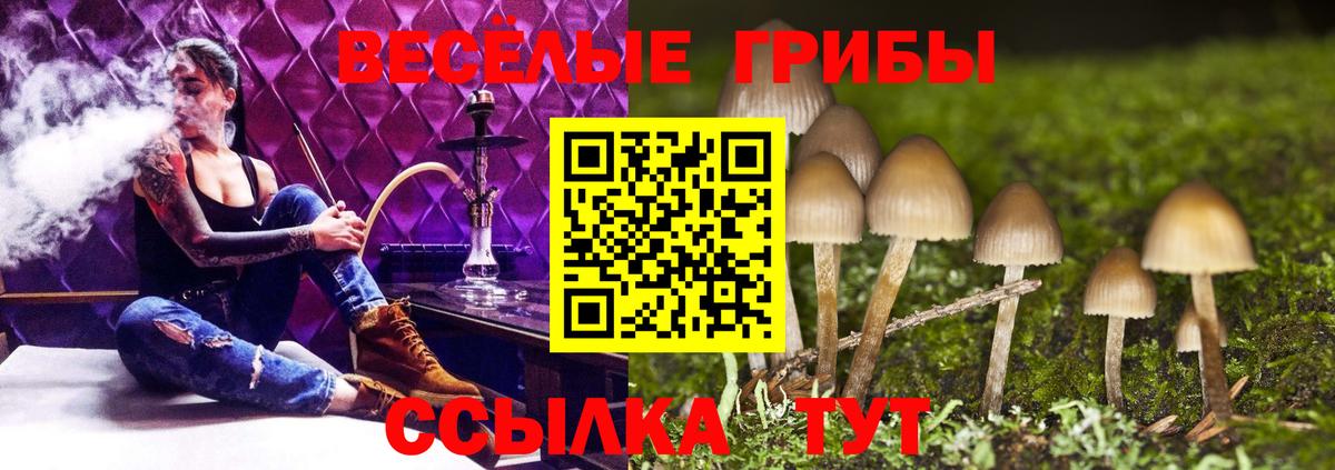 Псилоцибиновые грибы мицелий Ртищево
